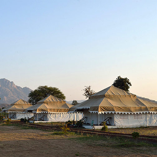 Godwad Safari Camp