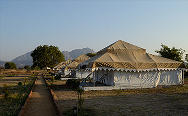 Luxury Tent at Godwad Safari Camp