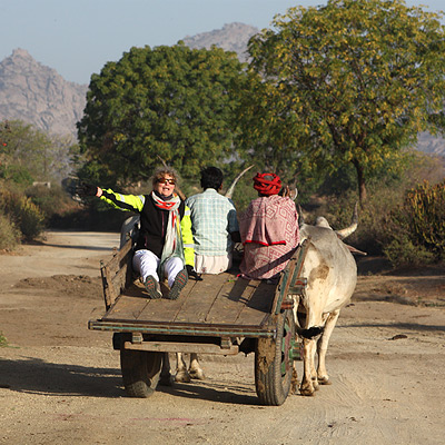 Bullock Cart Ride at Jawai