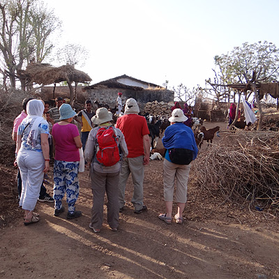 Trekking in Jawai